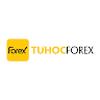Tự Học Forex