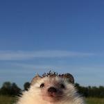 Allpoint News allpointnews