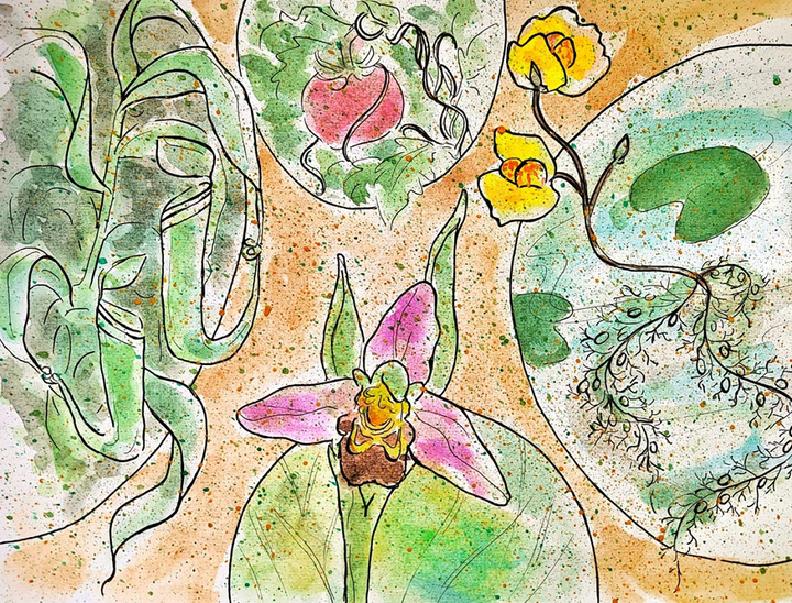 Растения разумные: тайная жизнь зеленых существ