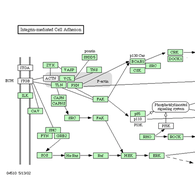 Семинар в ИБХ: «Основы компьютерной грамотности для биологов»