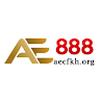 aecfkh org