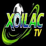 Xoilac greenparkhadong