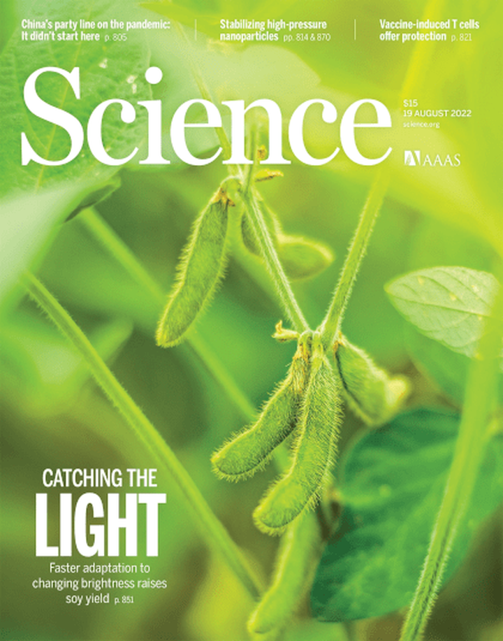 SciNat за август 2022 #3: растения, излучающие тепло, «шапочки» для нейронов и сжигающие калории челюсти