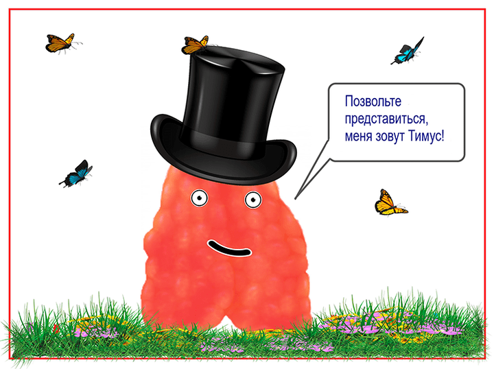Будем знакомы, меня зовут Тимус!