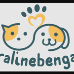 pralinebengals7@outlook.com