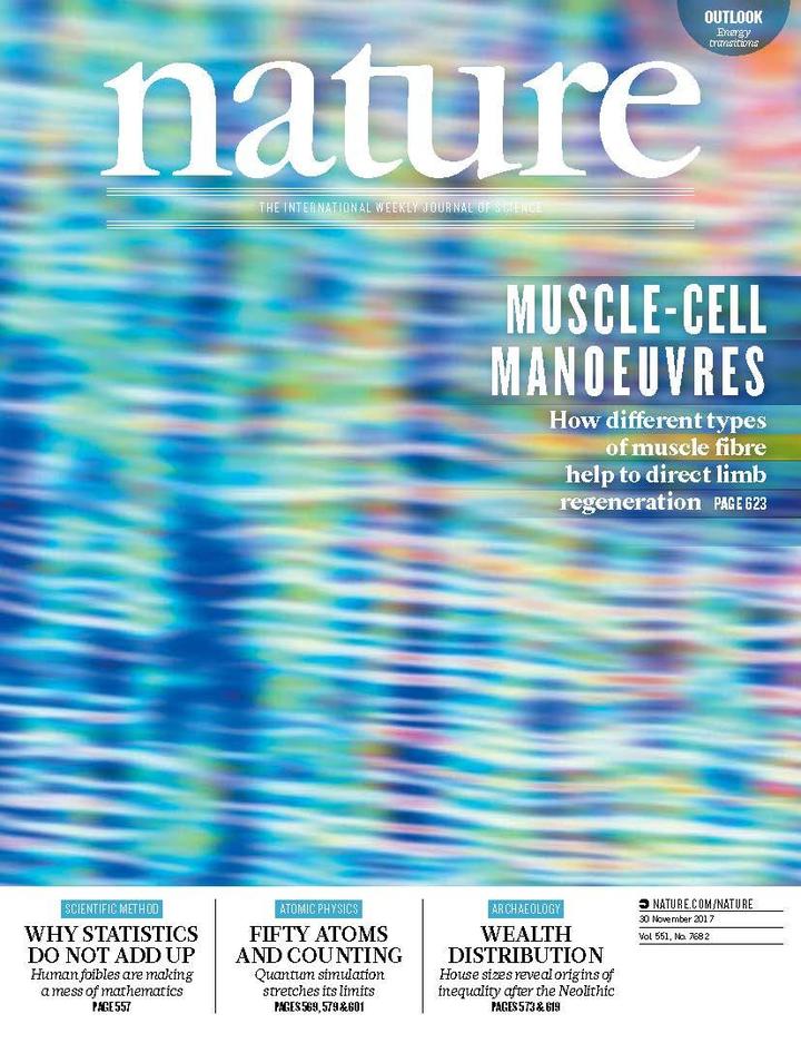 SciNat за ноябрь 2017 #5: вылупление птерозавров, транскрипция и трансляция с третьей парой оснований и зеркала в глазах гребешков