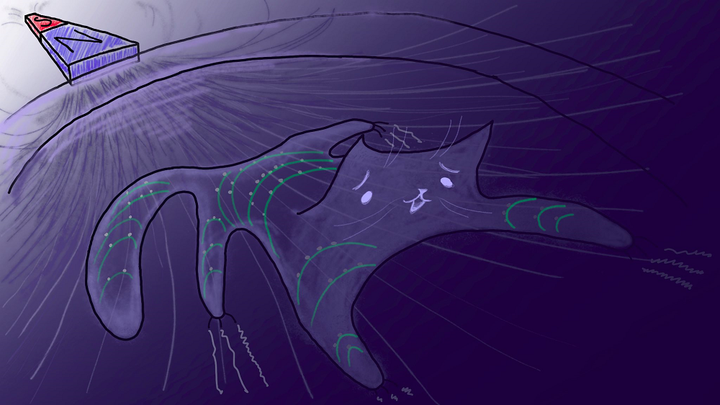 Магнитоуправляемая перестройка цитоскелета: история о том, как ученые крутили клетки на магнитах