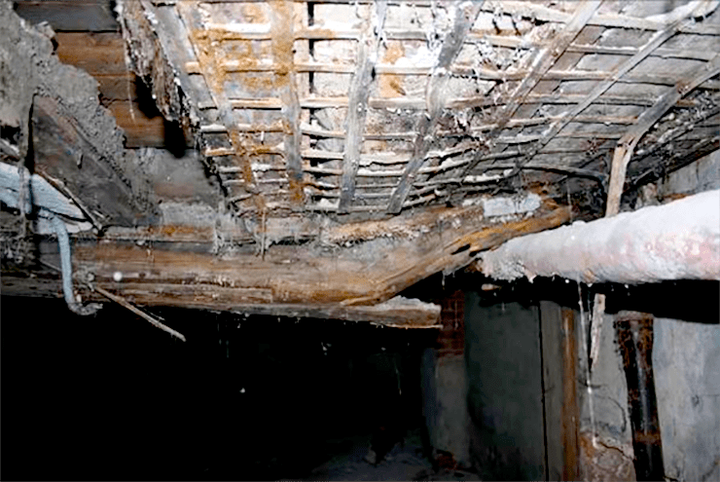 Внедрение в реставрационную практику молекулярно-генетических методов исследования