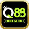 q88 guru