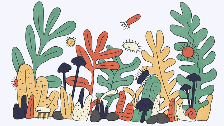 Пробиотики для растений: как накормить растущий мир