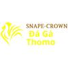 Đá Gà Trực Tiếp Thomo