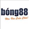 BONG 88