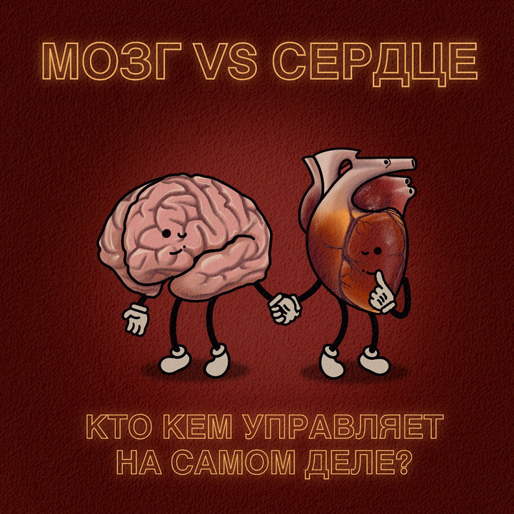 Мозг vs. сердце: кто кем управляет на самом деле?