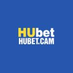 Hubet cam