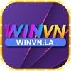 winvnla1