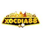 XOCDIA88 STREAM ELEKTROMAX