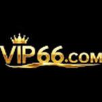 VIP66