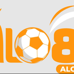 Alo8888 io
