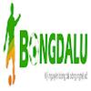 bongdaluvip net