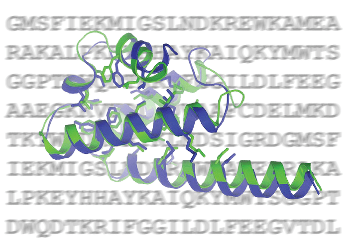 Новые успехи в предсказании пространственной структуры белков