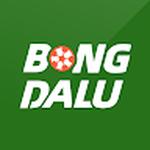 bongdalu voyage