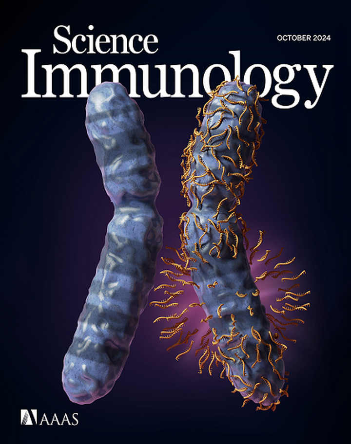 SciNat за октябрь 2024 #3: метаболизм глюкозы и регуляция гаструляции, истощенные, но упорно вредящие Т-клетки, умный инсулин