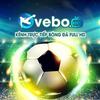 vebozzncc vebozzncc