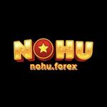 NOHU FOREX