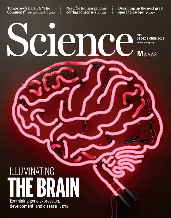SciNat за декабрь 2018 # 3: борьба с цитокиновым штормом, генетическая история кукурузы и искусственная эволюция фермента из пептида