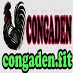 CON GÀ ĐEN FIT
