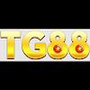 TG88 SOLUTIONS