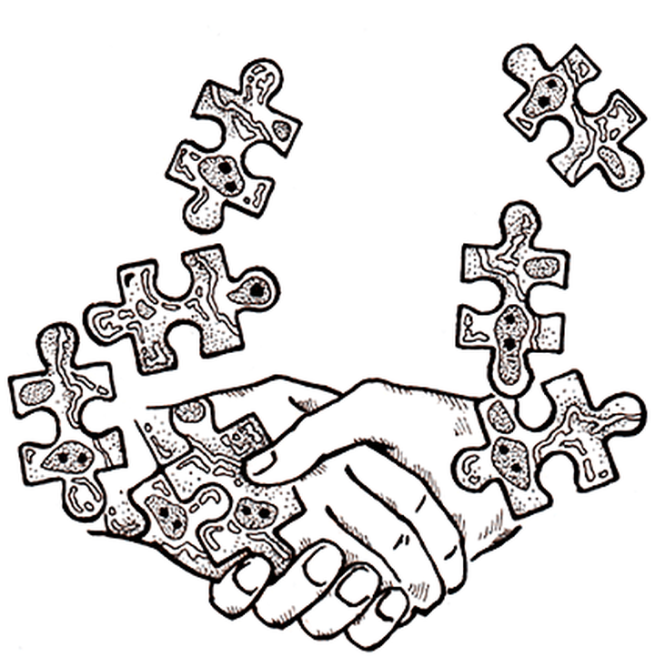 Дипломатия клеток: взлёты и падения