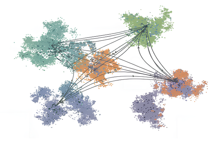 Эволюция как векторное поле: подход <em>evo-velocity</em> в анализе белков