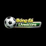 Bong da 365