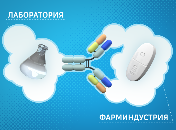 С полки в лаборатории на полку в аптеке: как биспецифические антитела нашли свой эпитоп в фарминдустрии