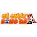 Cá Cược Bóng Đá