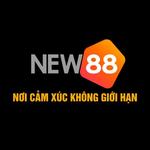 NEW88 – Cổng Giải Trí Trực Tuyến Hiện Đại Và Đa Dạng
