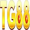 Tg88ny com