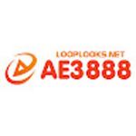 AE3888 looplooks