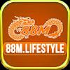 88ml ifestyle