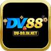 dv88innet