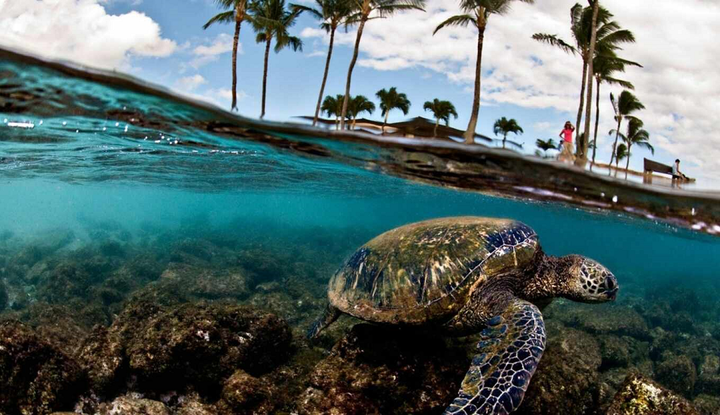 Это страшное слово «дефаунизация»