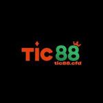 Tic88