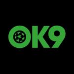 Ok9design Com