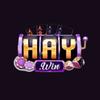 haywin de com
