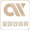 爱游戏 体育