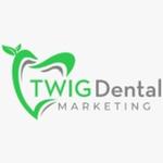 Twig Dental Marketing