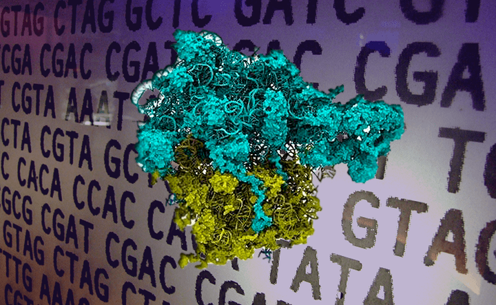 Слово из четырёх букв