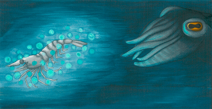 Плавая в звездах: альтернативный взгляд на убийц с Камчатки — динофлагеллят