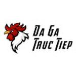 Đá gà trực tiếp